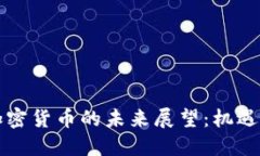 美国加密货币的未来展望