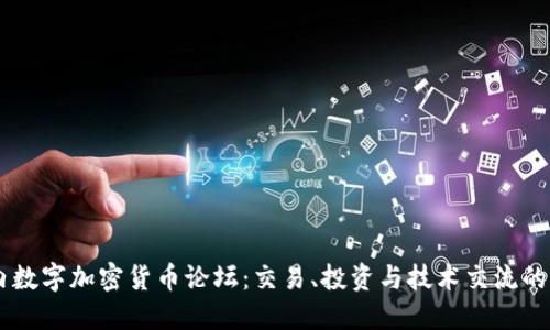 国内数字加密货币论坛：交易、投资与技术交流的平台