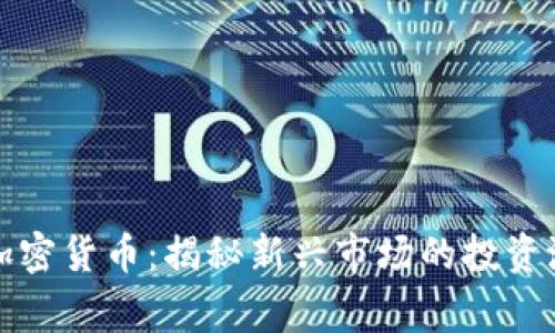 印度神童加密货币：揭秘新兴市场的投资潜力与风险