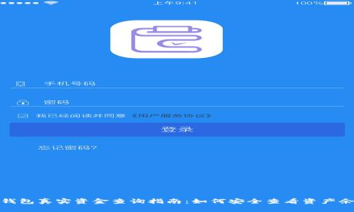 Tp钱包真实资金查询指南：如何安全查看资产余额