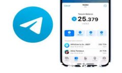 虚拟货币与加密货币的全