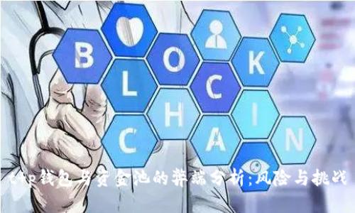 t p钱包与资金池的弊端分析：风险与挑战