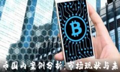 加密货币国内案例分析：