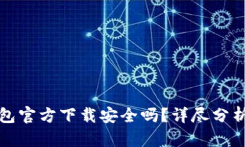 最新版TP钱包官方下载安全吗？详尽分析与用户指南