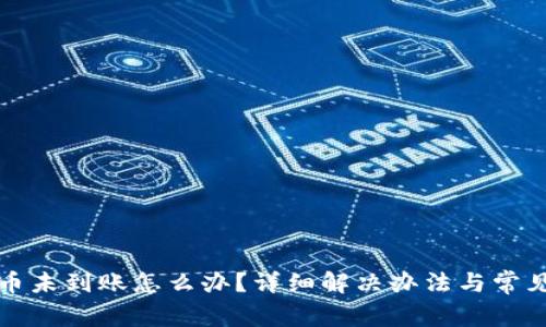 TP钱包提币未到账怎么办？详细解决办法与常见问题解答
