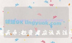 加密货币龙头币：投资者