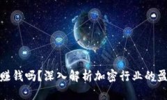 加密货币公司赚钱吗？深