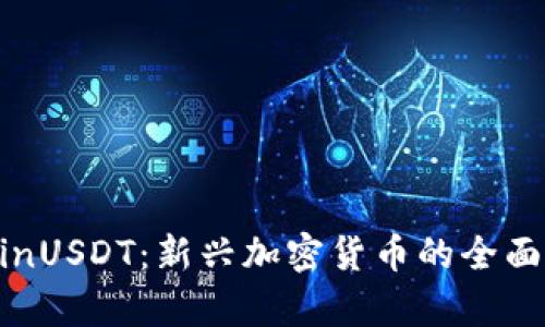 : WinUSDT：新兴加密货币的全面解析