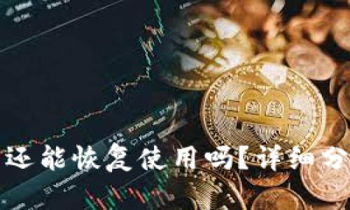 TP钱包被盗后还能恢复使用吗？详细分析与解决方案