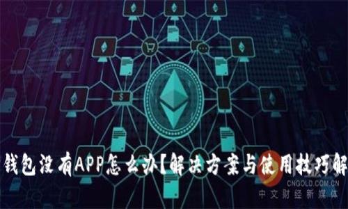 TP钱包没有APP怎么办？解决方案与使用技巧解析