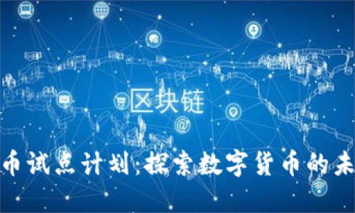 加密货币试点计划：探索数字货币的未来之路