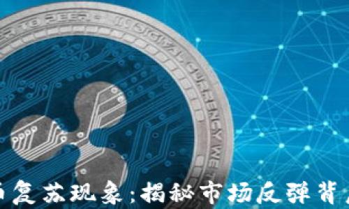 
加密货币复苏现象：揭秘市场反弹背后的原因
