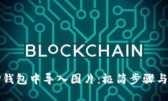 如何在TP钱包中导入图片：