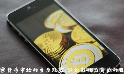 
加密货币市场的主要玩家：认识影响力背后的巨头