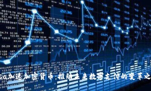 Visa加速加密货币：推动未来数字支付的变革之路