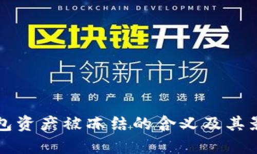 TP冷钱包资产被冻结的含义及其影响分析