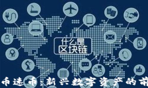 
加密货币速币：新兴数字资产的前沿探索