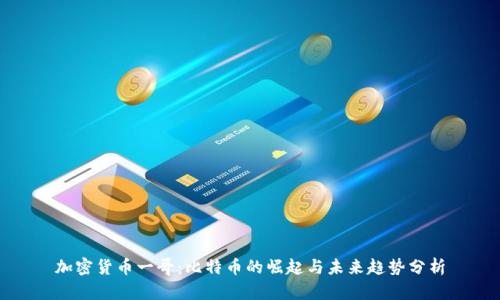 加密货币一哥：比特币的崛起与未来趋势分析