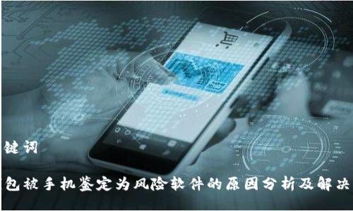 及关键词

TP钱包被手机鉴定为风险软件的原因分析及解决方案