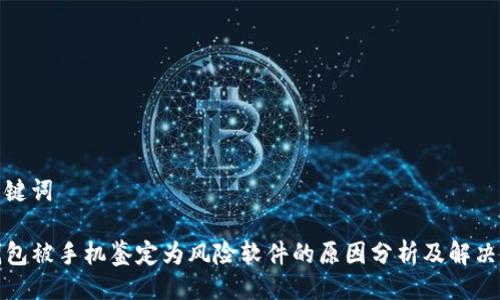 及关键词

TP钱包被手机鉴定为风险软件的原因分析及解决方案