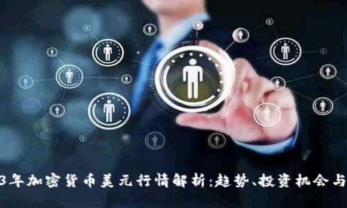 2023年加密货币美元行情解析：趋势、投资机会与风险