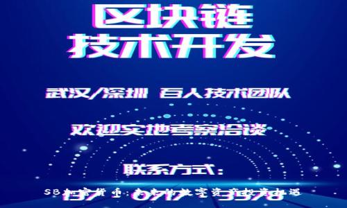 SB加密货币：未来的数字资产投资机遇
