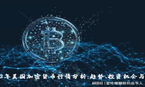 2023年美国加密货币行情分析：趋势、投资机会与风险
