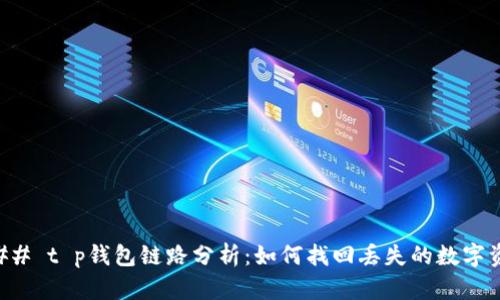 ### t p钱包链路分析：如何找回丢失的数字资产