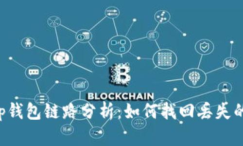 ### t p钱包链路分析：如何找回丢失的数字资产