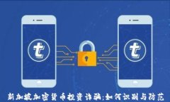 新加坡加密货币投资诈骗