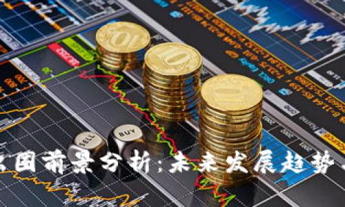 加密货币出圈前景分析：未来发展趋势与风险评估