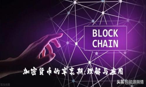 加密货币的半衰期：理解与应用