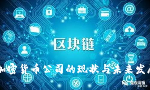 中国加密货币公司的现状与未来发展分析