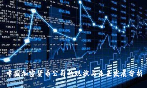 中国加密货币公司的现状与未来发展分析