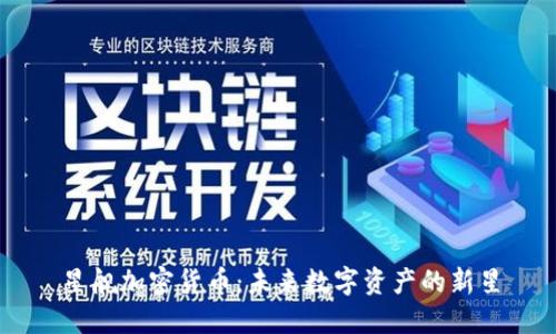星舰加密货币：未来数字资产的新星