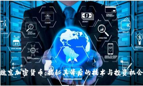 魏京加密货币：揭秘其背后的技术与投资机会