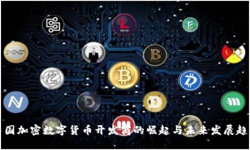 中国加密数字货币开发商的崛起与未来发展趋势