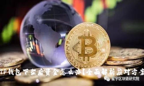 TP钱包下架后资金怎么办？全面解析应对方案