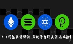 t p钱包软件评测：正规平