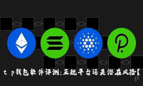t p钱包软件评测：正规平台还是潜在风险？