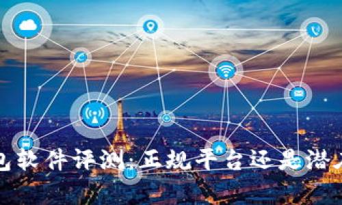 t p钱包软件评测：正规平台还是潜在风险？