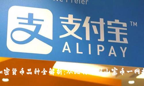 : 加密货币品种全解析：从比特币到山寨币一网打尽