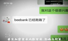 普京加密货币风险分析：