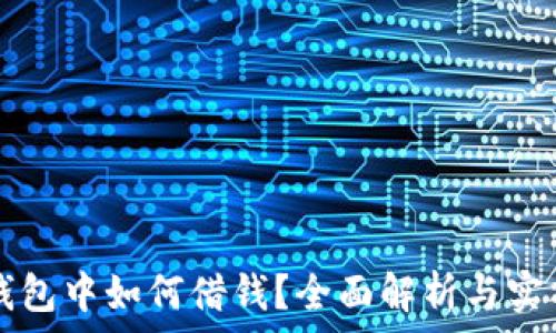   
在TP钱包中如何借钱？全面解析与实用指南