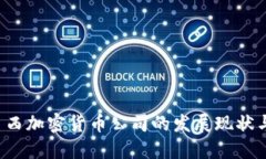 2023年巴西加密货币公司的