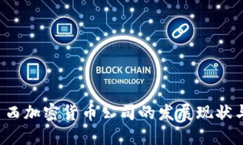 2023年巴西加密货币公司的发展现状与未来展望