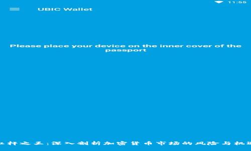 杠杆之王：深入剖析加密货币市场的风险与机遇