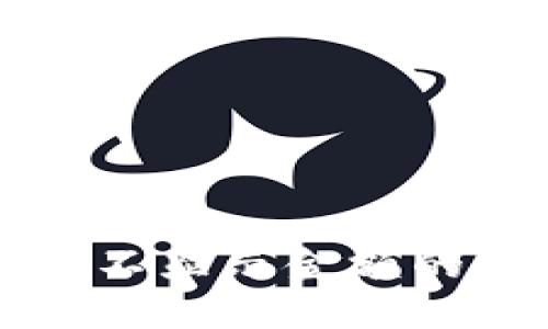 TP钱包中的新币不显示金额的原因及解决方法