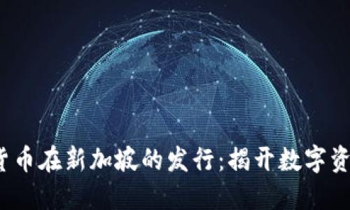 2023年加密货币在新加坡的发行：揭开数字资产的未来之门