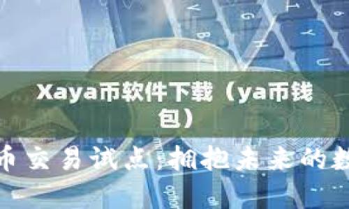 海南加密货币交易试点：拥抱未来的数字金融风暴